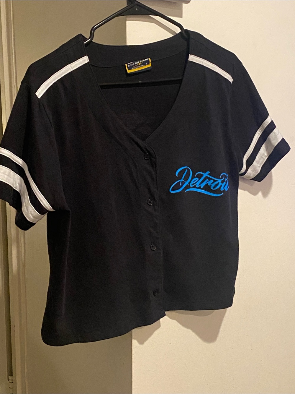 Detroit Lion Baseball Crop Tee